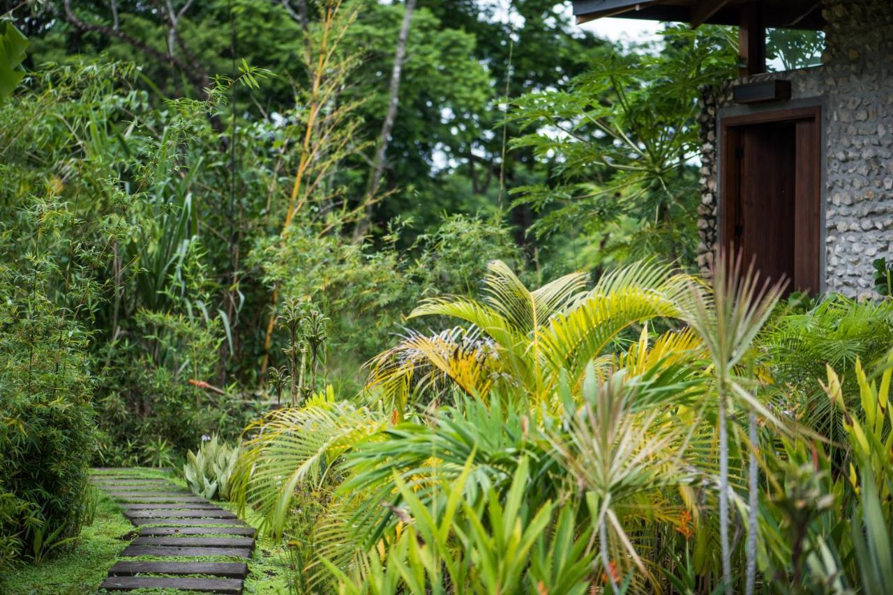 Thea Resort & Retreats - Santa Teresa Playa Santa Teresa  外观 照片