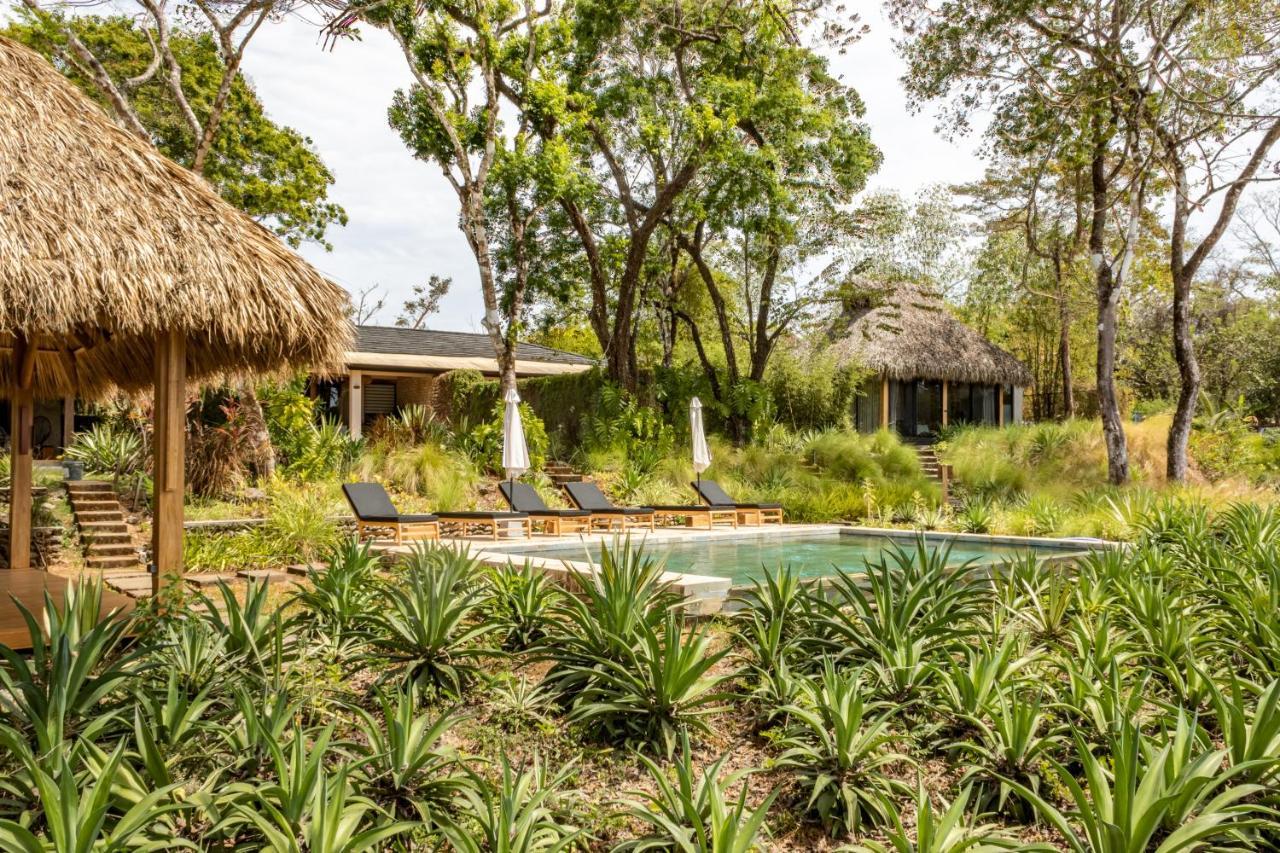 Thea Resort & Retreats - Santa Teresa Playa Santa Teresa  外观 照片